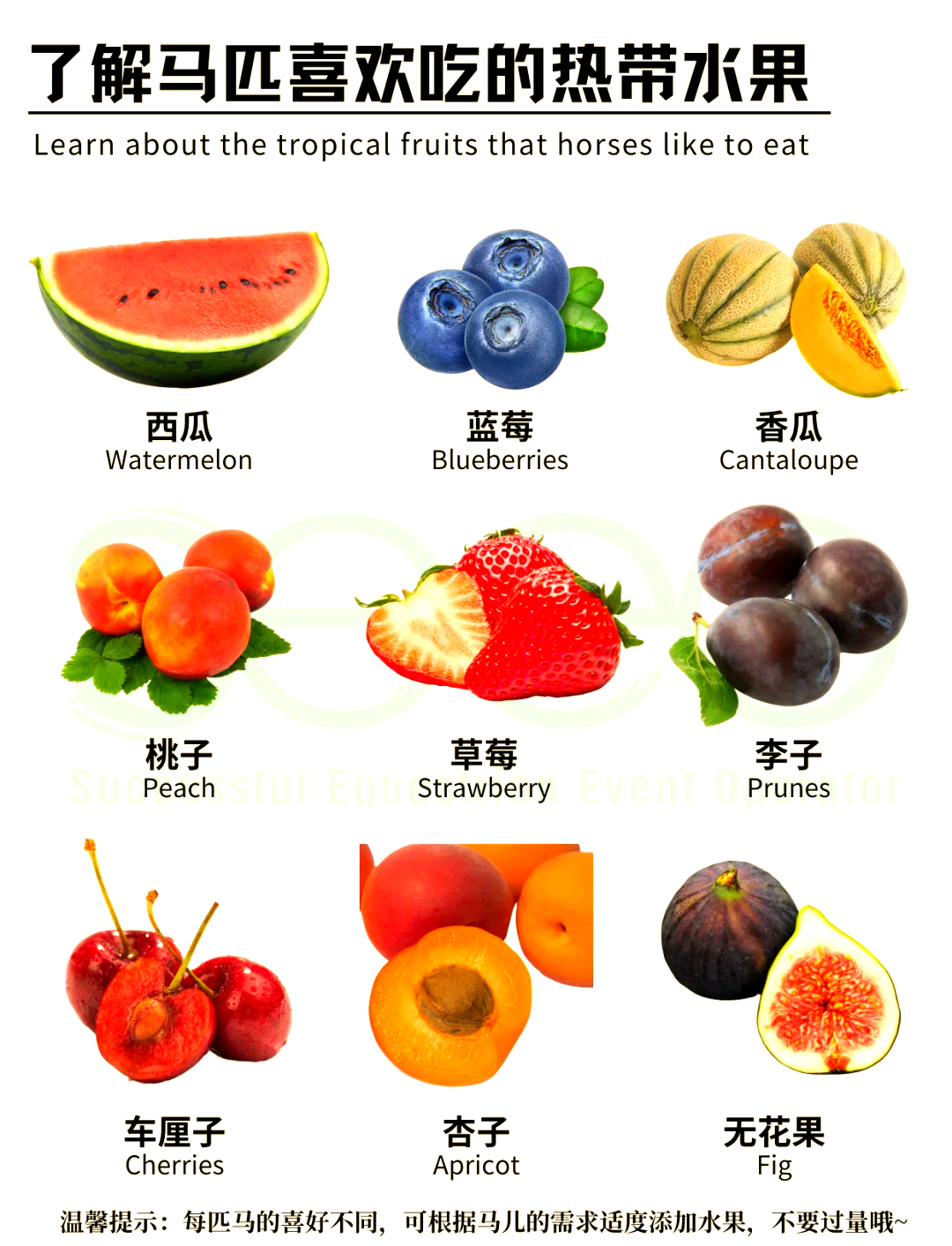 热带水果都有哪些